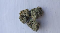 User uploaded image of Himalayan Blackberry