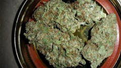 User uploaded image of Himalayan Gold