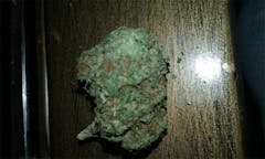 User uploaded image of Himalayan Gold