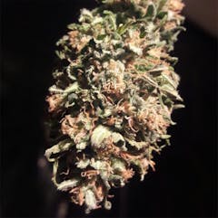 User uploaded image of Hindu Kush