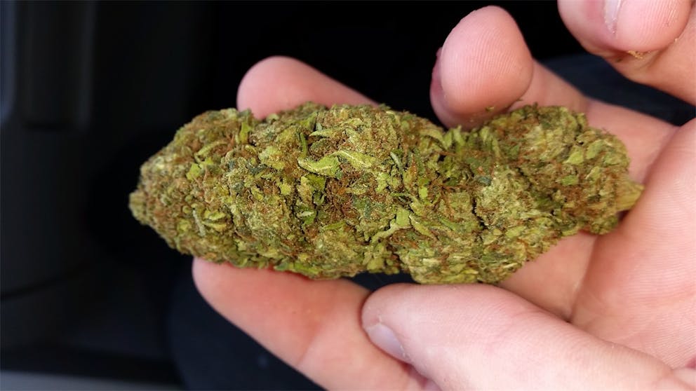 Photos of Hindu Skunk Weed Strain Buds | Leafly