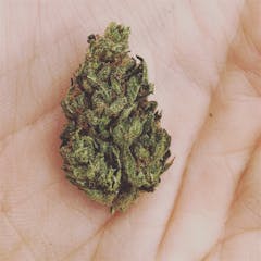 User uploaded image of Hippie Chicken