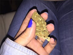 User uploaded image of Hippie Chicken