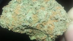 User uploaded image of Hippie Crippler