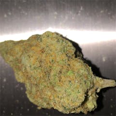 User uploaded image of Hippie Crippler