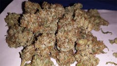 User uploaded image of Hog's Breath