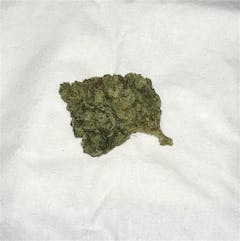 User uploaded image of Hog's Breath