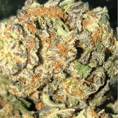 User uploaded image of Hog's Breath