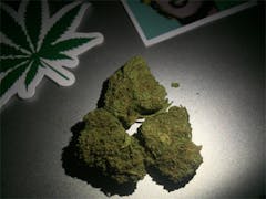 User uploaded image of Hog's Breath