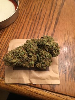 User uploaded image of Holland's Hope