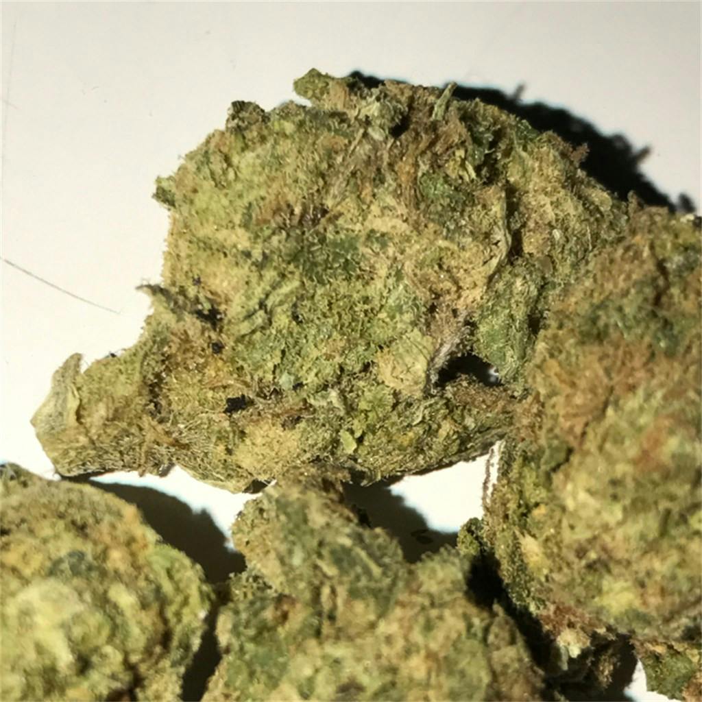 Hollywood OG aka Hollywood OG Kush, Hollywood Kush Weed Strain
