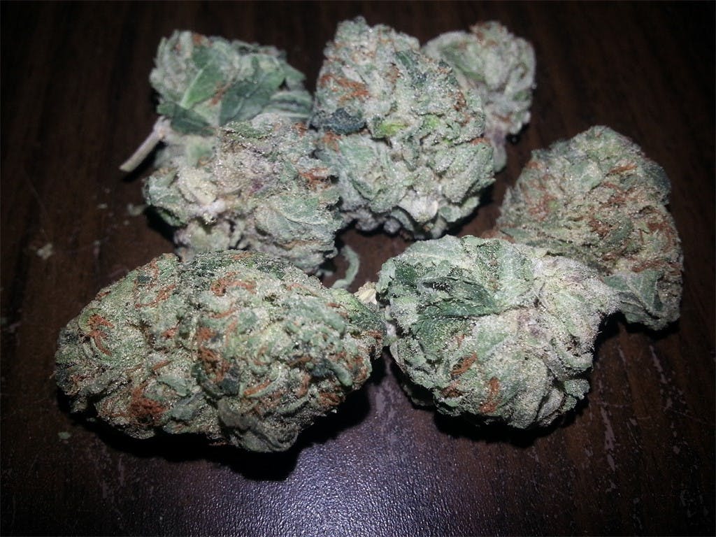 Hollywood OG aka Hollywood OG Kush, Hollywood Kush Weed Strain
