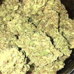 User uploaded image of Hollywood OG