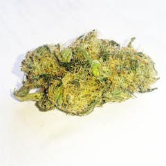 User uploaded image of Holy Ghost