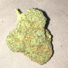 User uploaded image of Holy Ghost