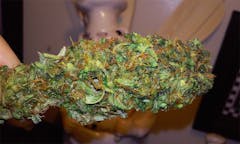 User uploaded image of Holy Ghost