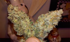 User uploaded image of Holy Ghost