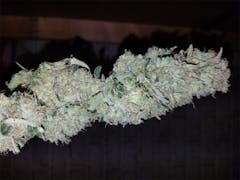 User uploaded image of Holy Grail Kush