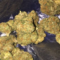 User uploaded image of Holy Grail Kush