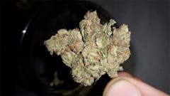 User uploaded image of Honey Boo Boo