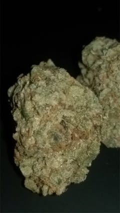 User uploaded image of Honey Boo Boo