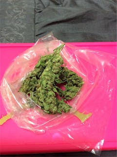 User uploaded image of Honey Boo Boo