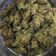 User uploaded image of Hong Kong