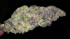 User uploaded image of Hong Kong