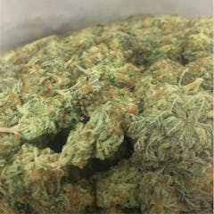 User uploaded image of Hong Kong