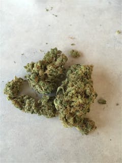 User uploaded image of Huckleberry