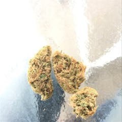 User uploaded image of Huckleberry