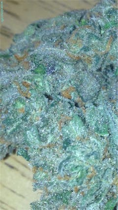 User uploaded image of Huckleberry