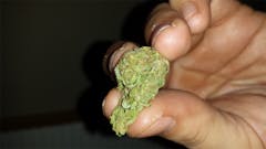 User uploaded image of Huckleberry