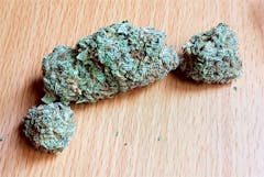 User uploaded image of Hulkamania