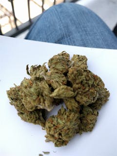 User uploaded image of Humboldt Dream