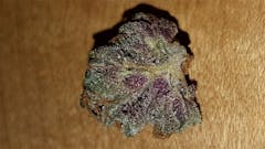 User uploaded image of Humboldt Dream