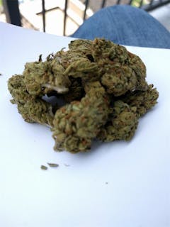 User uploaded image of Humboldt Dream