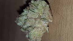 User uploaded image of Humboldt