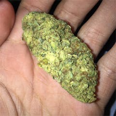 User uploaded image of Humboldt