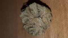 User uploaded image of Humboldt