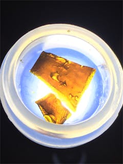 User uploaded image of Humboldt