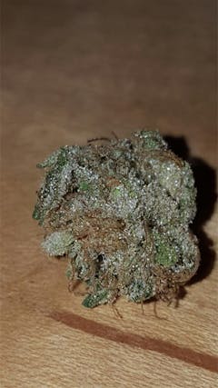 User uploaded image of Humboldt