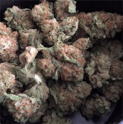 User uploaded image of Hurkle