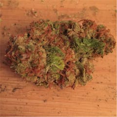 User uploaded image of Hurkle