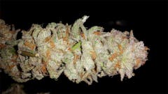 User uploaded image of Hurkle