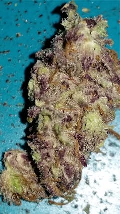 User uploaded image of Hurricane