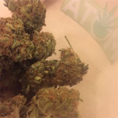 User uploaded image of Hurricane