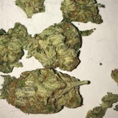 User uploaded image of Hustler Kush