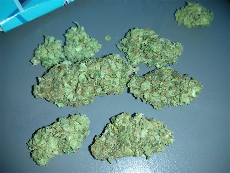 Photos of Ice Cream Weed Strain Buds Leafly