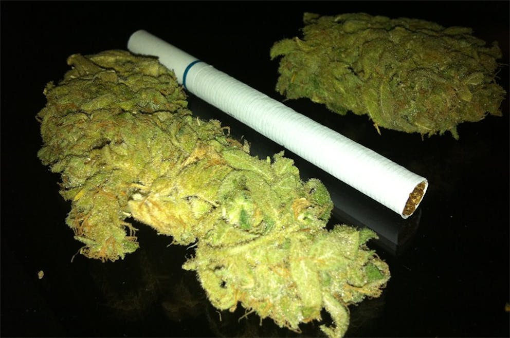 Photos of Ice Cream Weed Strain Buds Leafly